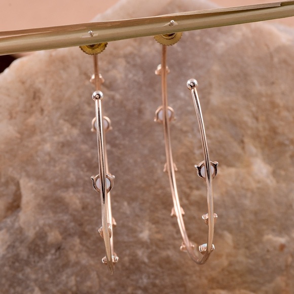 Large Rose Gold & Opal Hoop Earrings - Picture 6 of 6